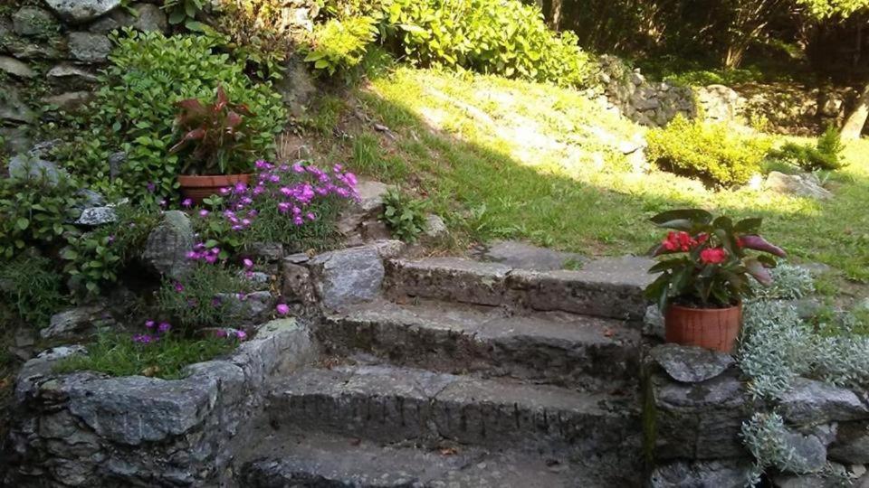 Casa Zizi Villa Crodo Bagian luar foto