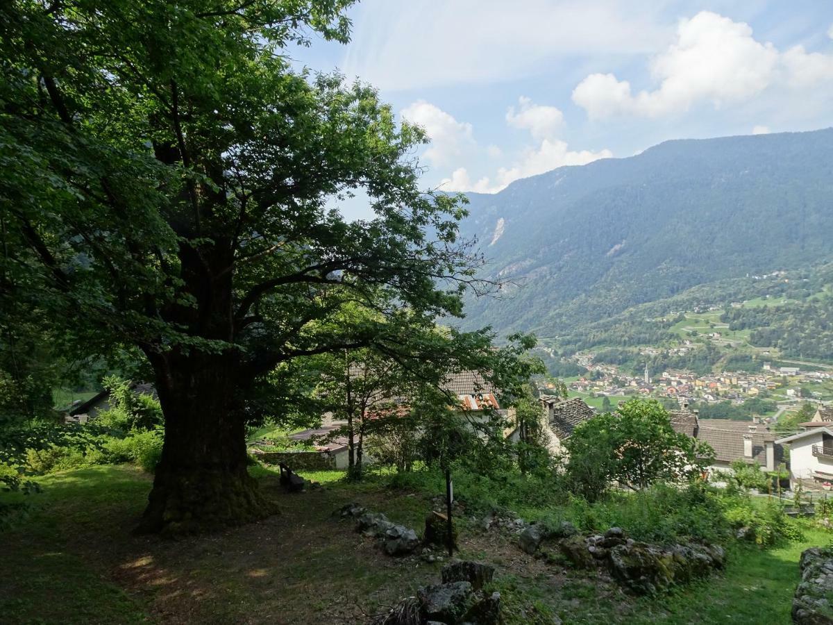 Casa Zizi Villa Crodo Bagian luar foto