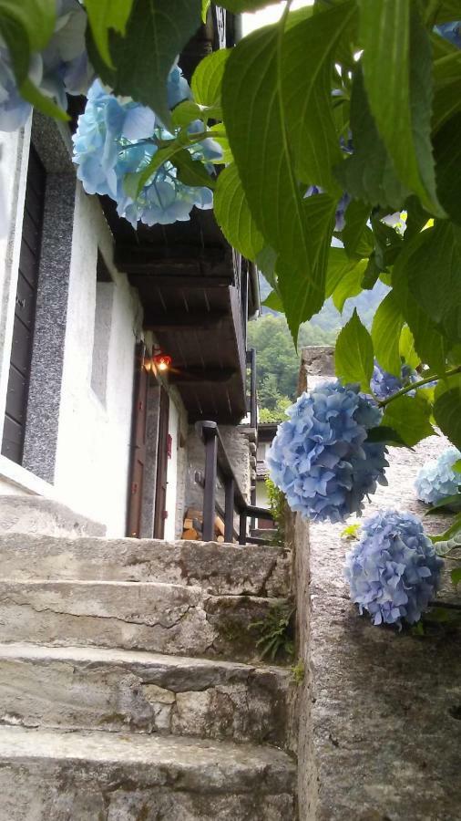 Casa Zizi Villa Crodo Bagian luar foto